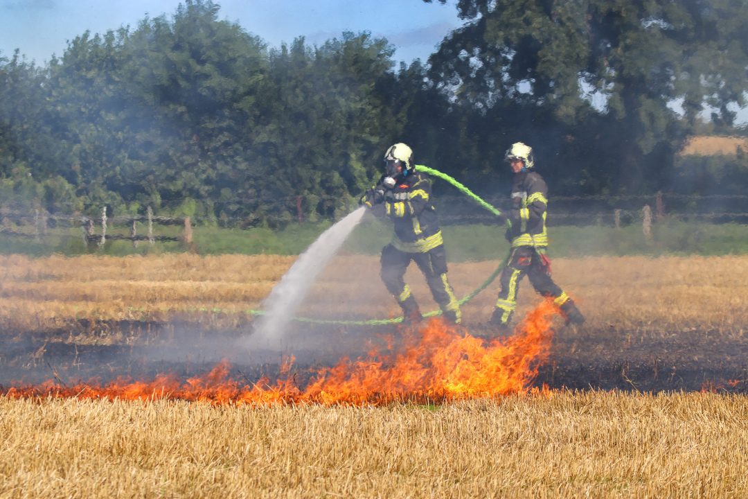FF Hemmelsdorf
